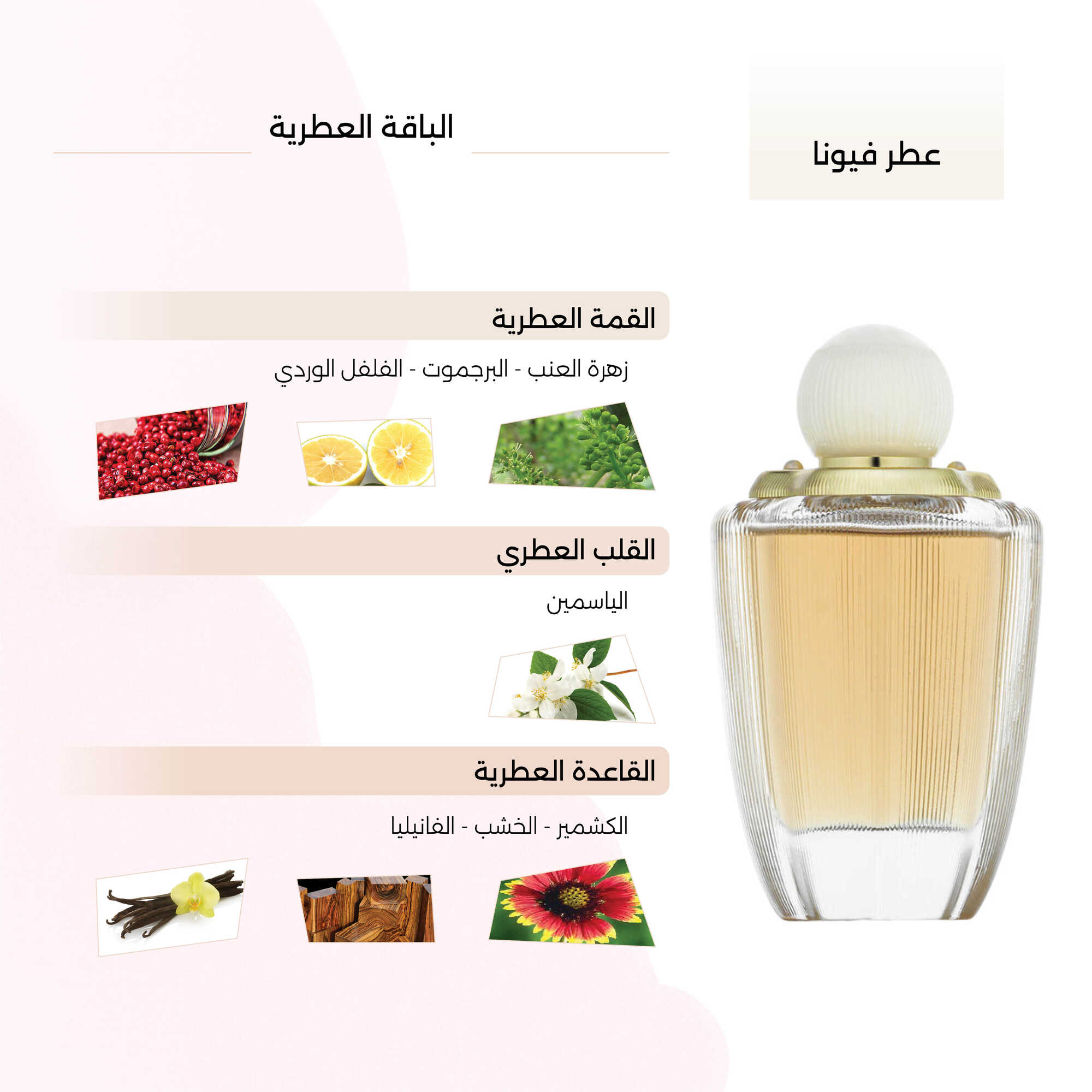 عطر فيونا النسائي من لينك